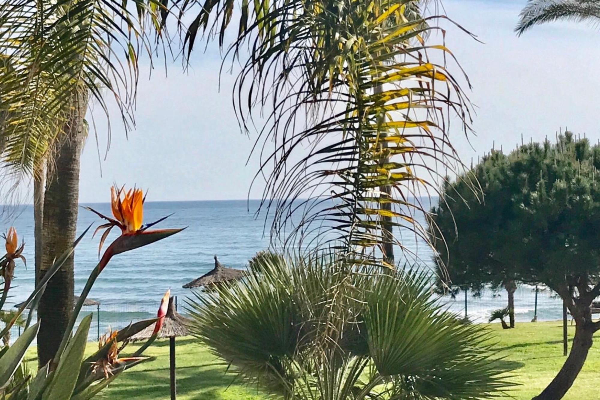 Mi Capricho 2D Beachfront- Apartment With Sea View - Costa Del Sol Sitio de Calahonda Dış mekan fotoğraf