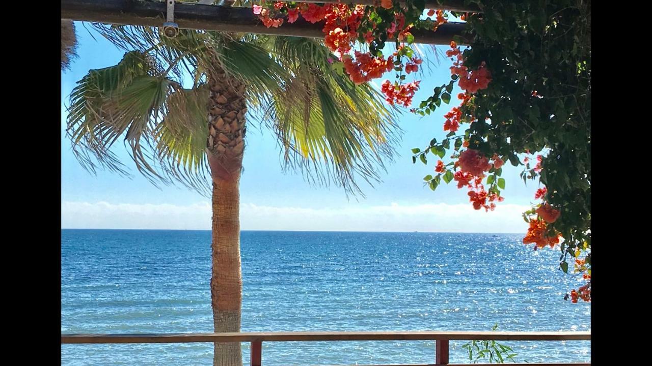 Mi Capricho 2D Beachfront- Apartment With Sea View - Costa Del Sol Sitio de Calahonda Dış mekan fotoğraf
